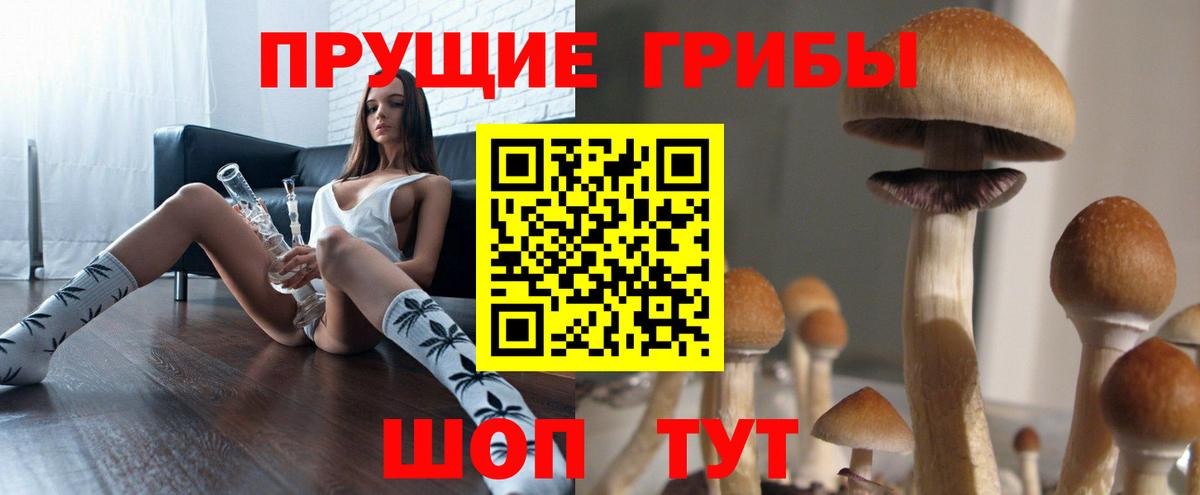 Галлюциногенные грибы MAGIC MUSHROOMS Рассказово